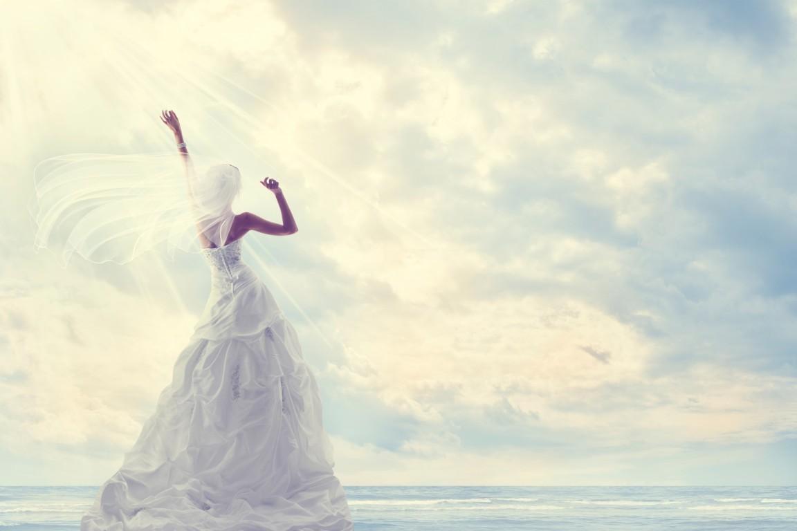 Looking for a Hassle-Free Honeymoon? Discover the World's Best Guided Tours
