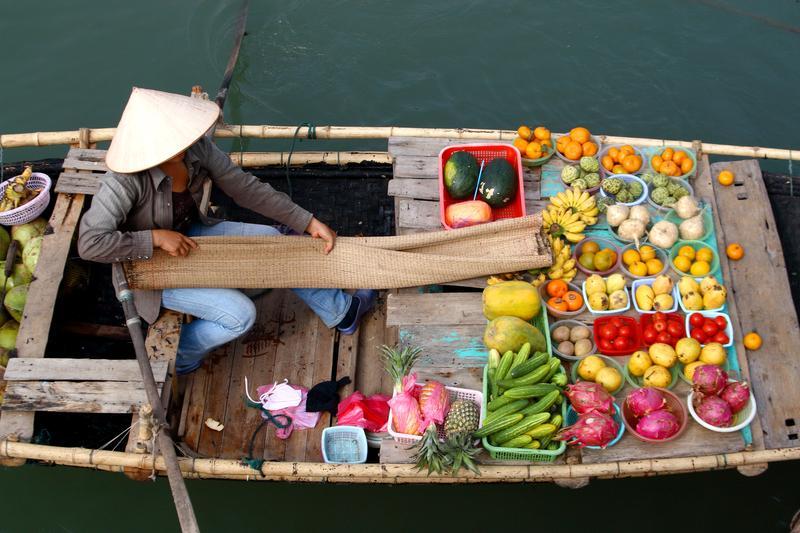 Vietnam tours by interest: Foodies, culture lovers, and adventure seekers