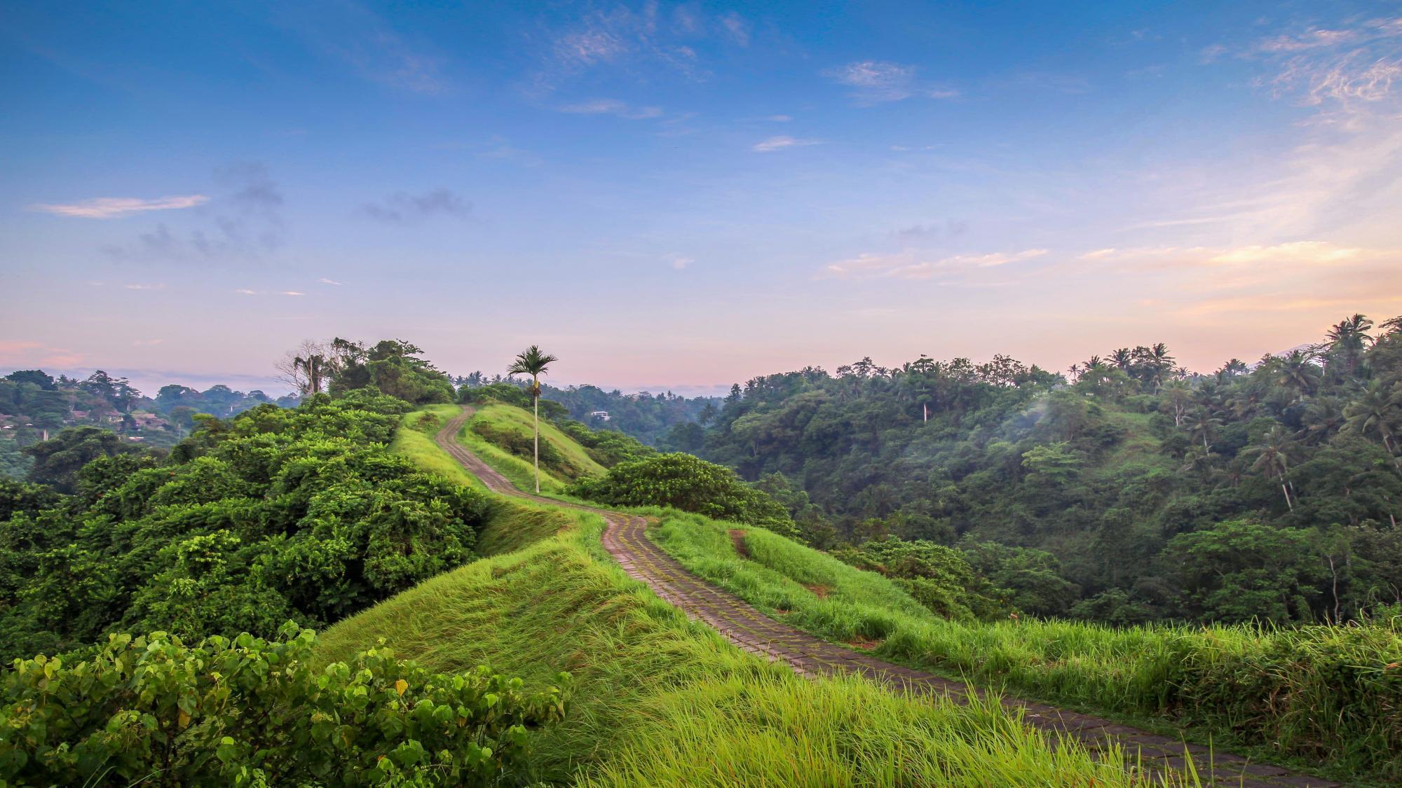 Ubud, Gianyar, Bali, Indonesia