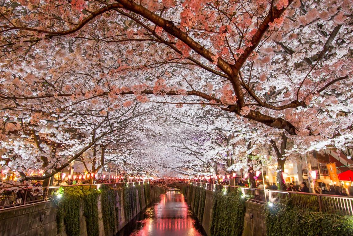 Tokyo, Japan