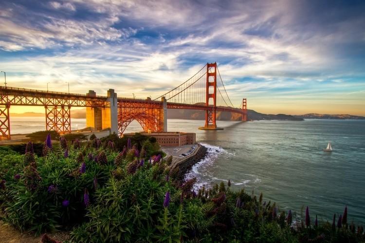 The Best Things to do in San Francisco: Your Complete Travel Guide